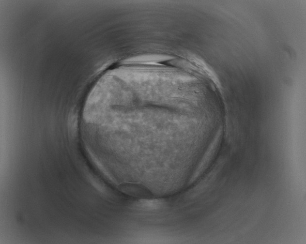 X0000116490057200912292113