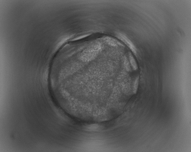 X0000116490058200912292113