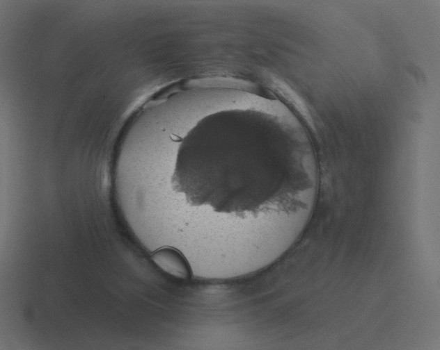 X0000116490059200912292113