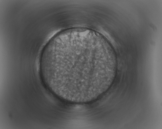 X0000116490060200912292113