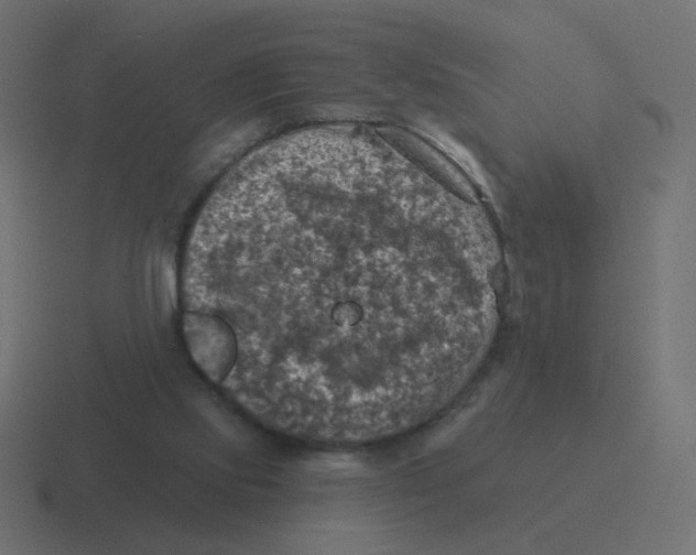 X0000116490061200912292113