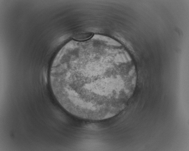 X0000116490062200912292113