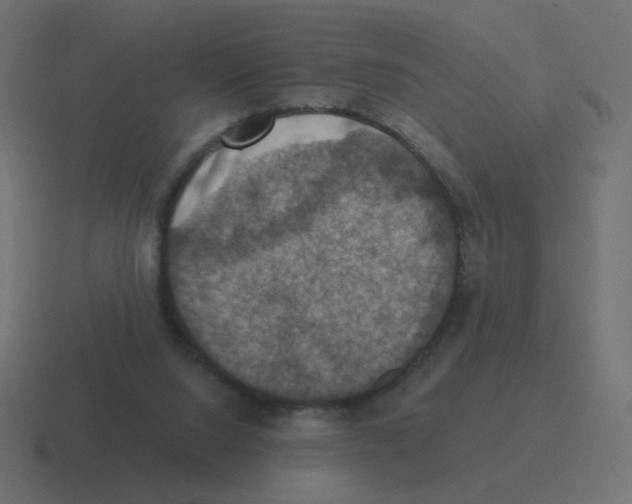 X0000116490064200912292113