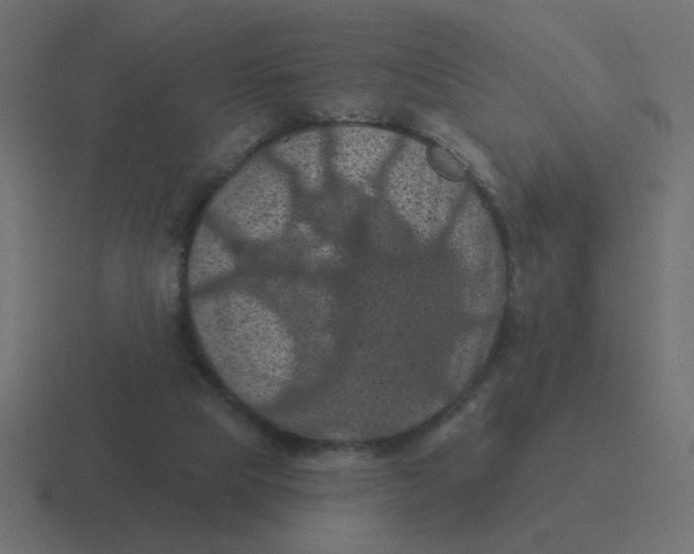 X0000116490065200912292113