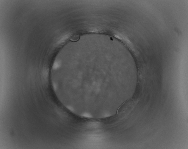 X0000116490066200912292113