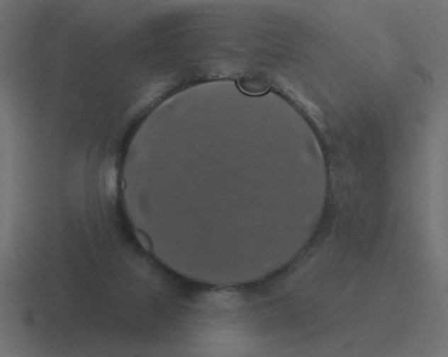 X0000116490067200912292113