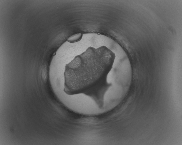 X0000116490069200912292113