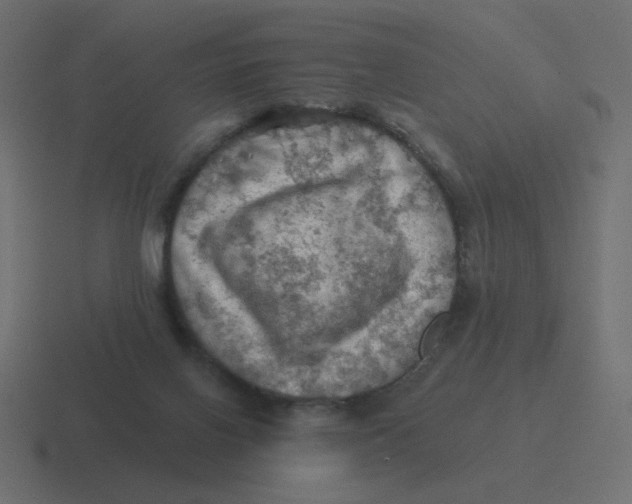 X0000116490070200912292113