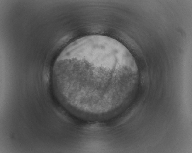 X0000116490072200912292113