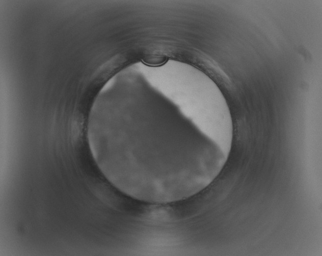 X0000116490073200912292113