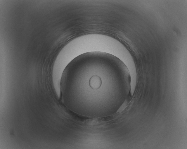 X0000116490074200912292113