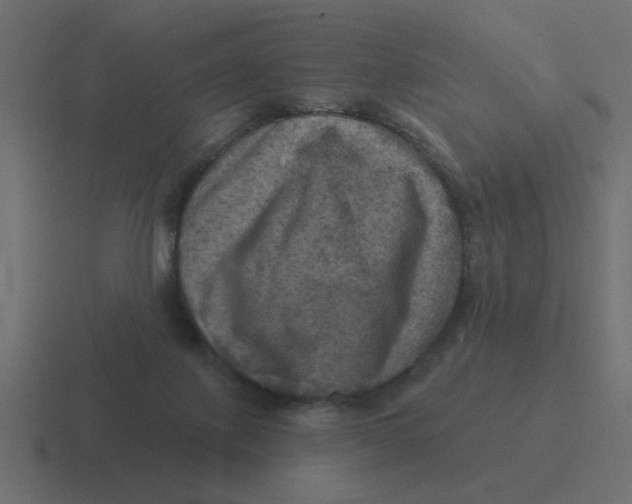 X0000116490075200912292113