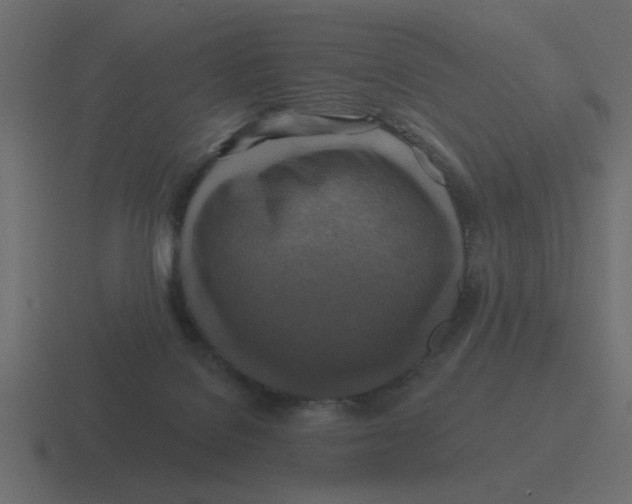 X0000116490076200912292113