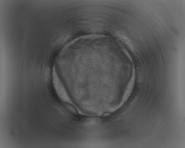 X0000116490077200912292113