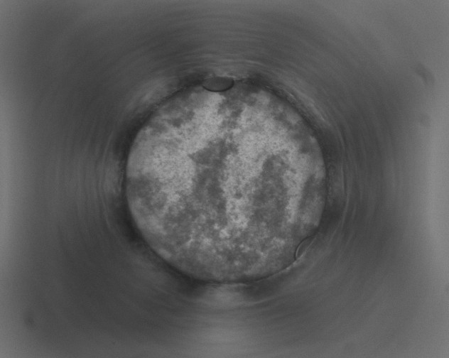 X0000116490078200912292113