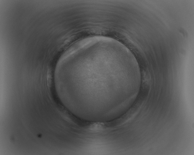 X0000116490080200912292114