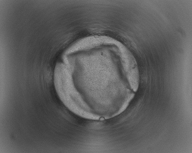 X0000116490081200912292114