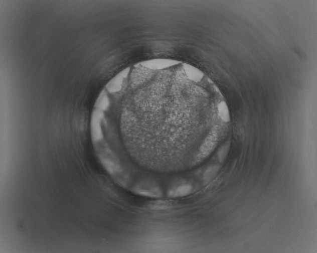 X0000116490082200912292114