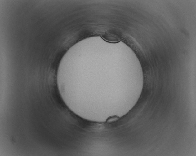 X0000116490083200912292114