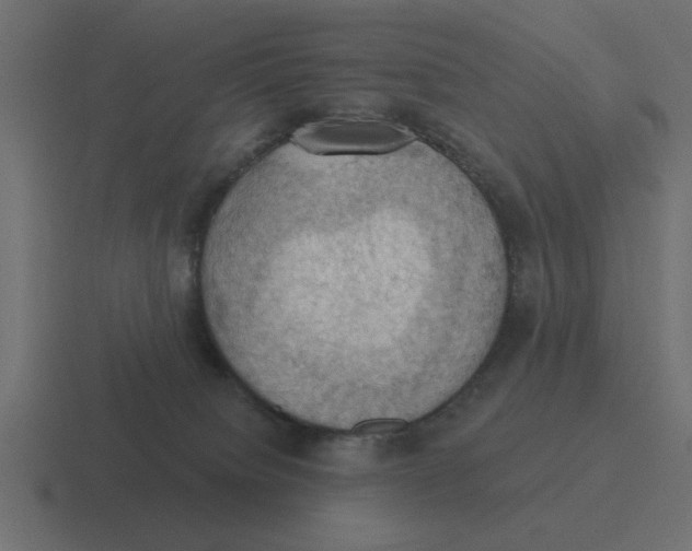 X0000116490084200912292114