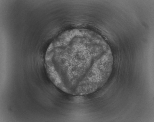 X0000116490085200912292114