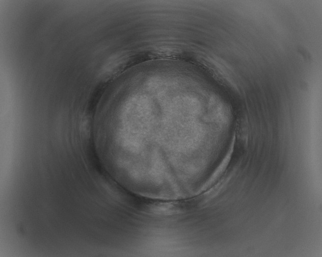 X0000116490086200912292114