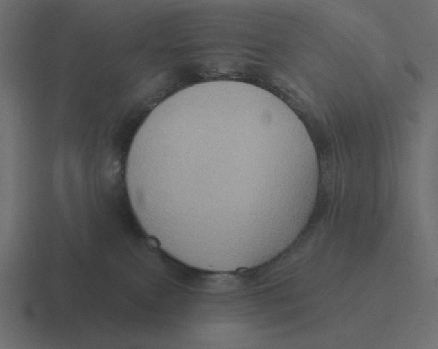 X0000116490087200912292114