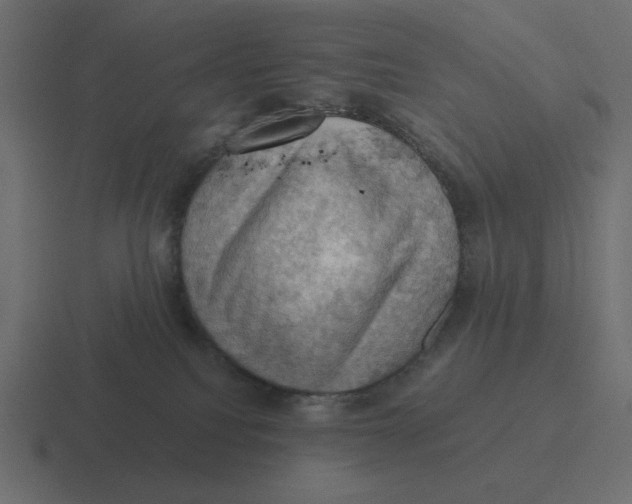 X0000116490088200912292114