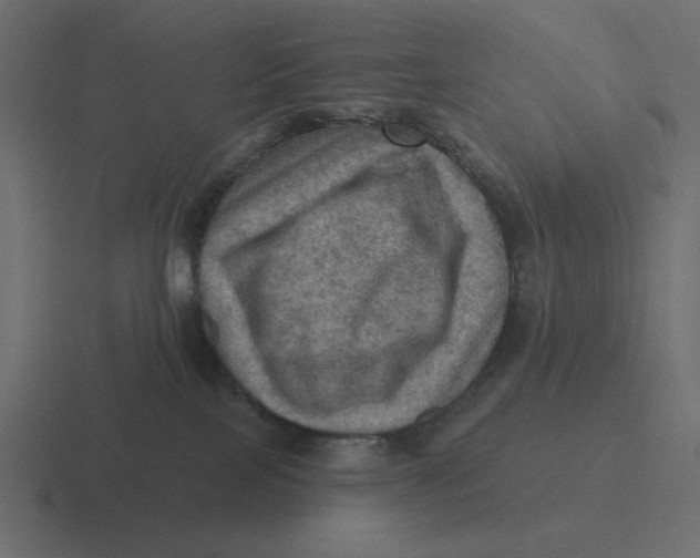 X0000116490089200912292114