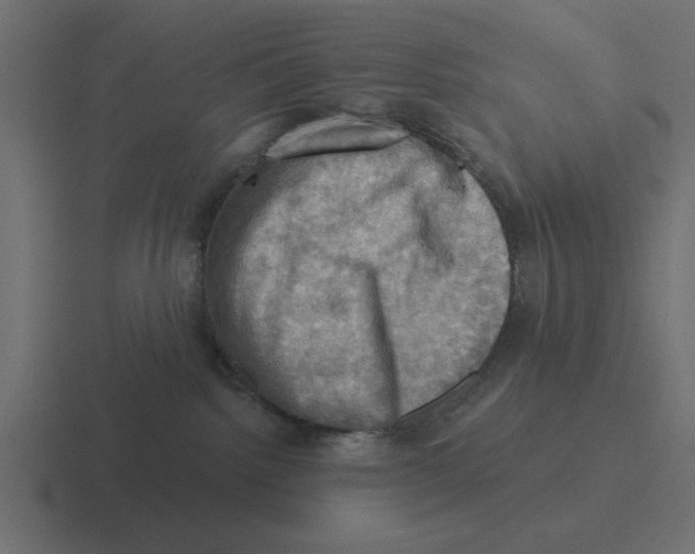 X0000116490092200912292114