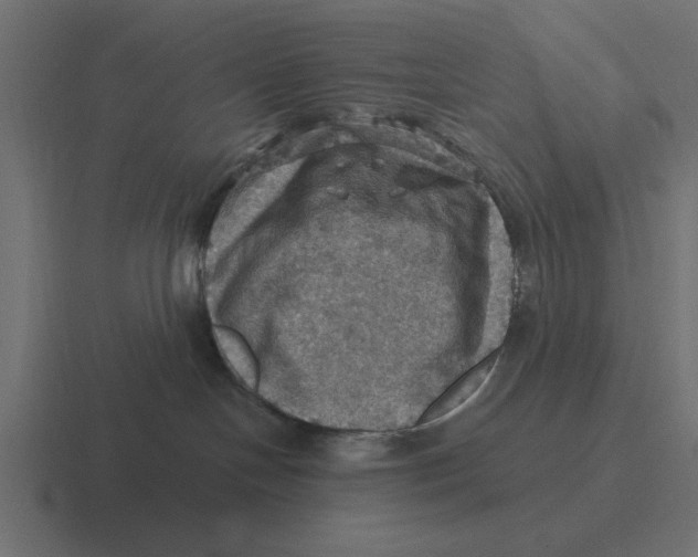 X0000116490094200912292114