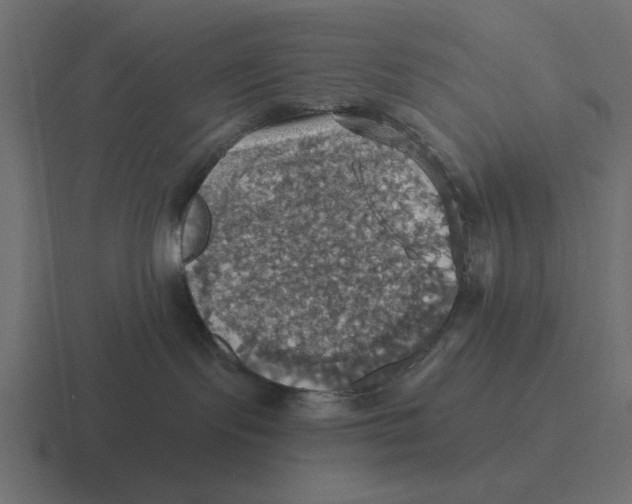 X0000116490095200912292114