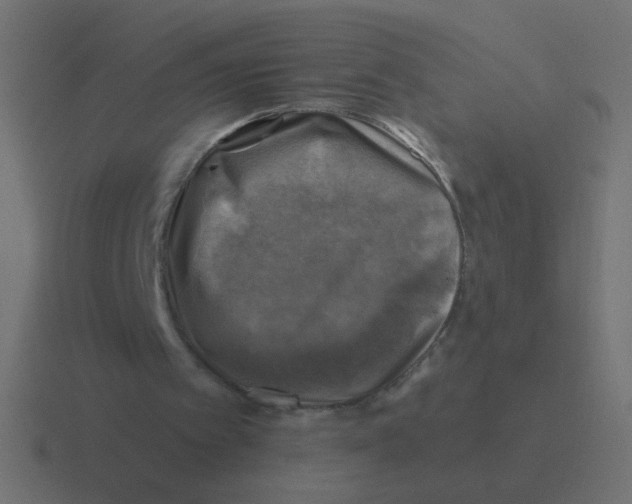 X0000116490097200912292113