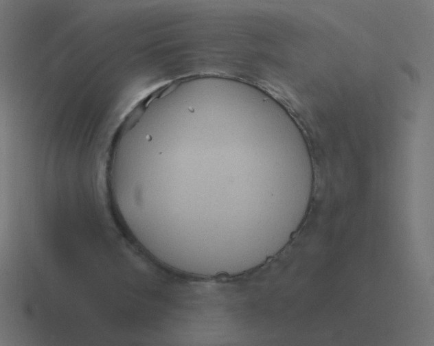 X0000116490098200912292113