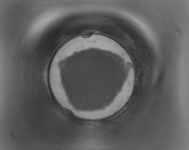 X0000116490099200912292113