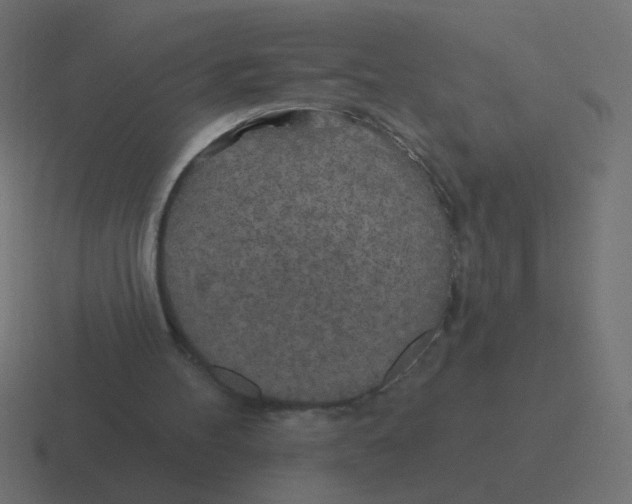 X0000116490100200912292113