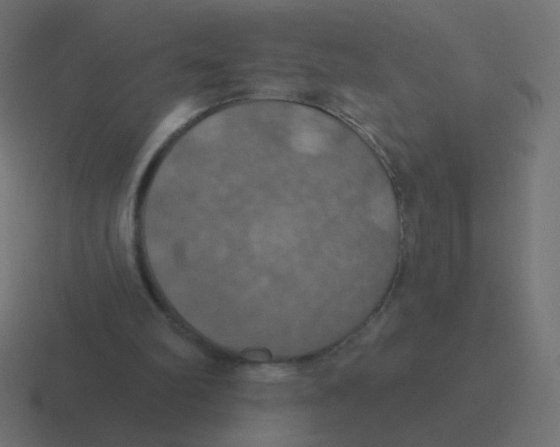 X0000116490102200912292113