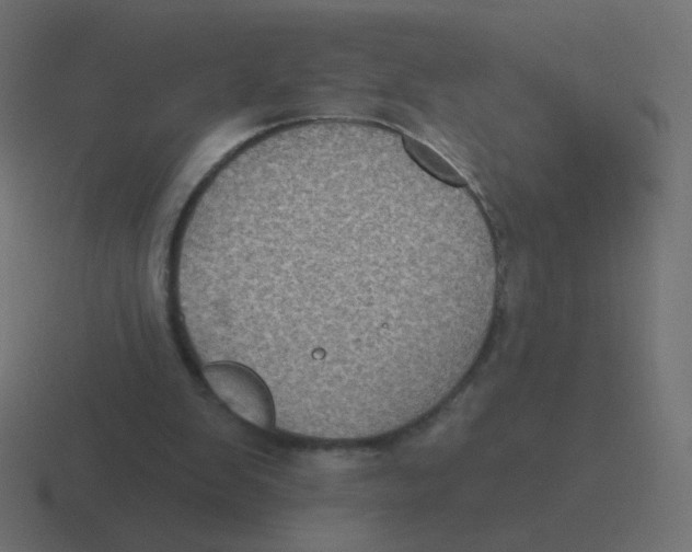 X0000116490103200912292113