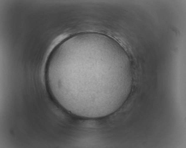 X0000116490104200912292113