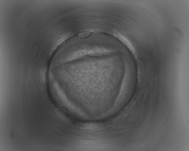 X0000116490105200912292113