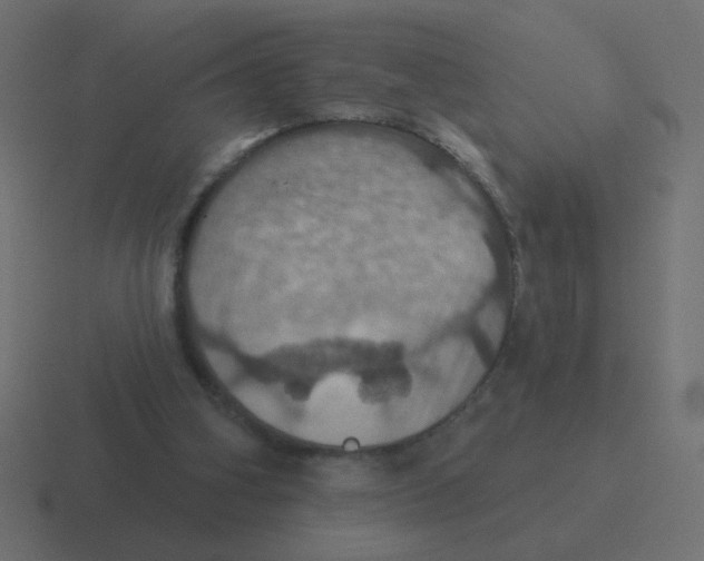 X0000116490106200912292113