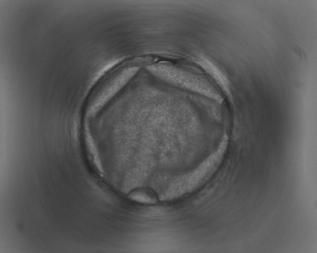 X0000116490107200912292113