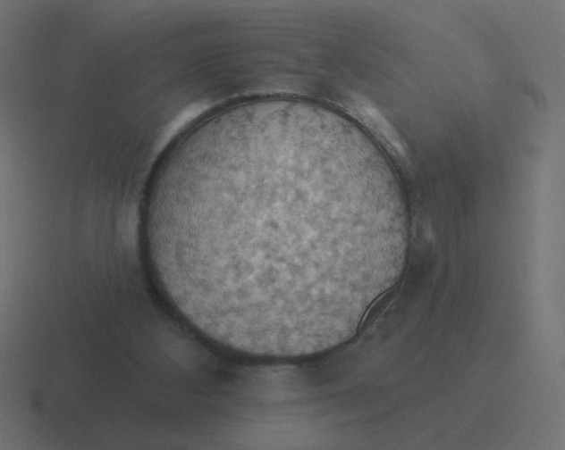 X0000116490108200912292113