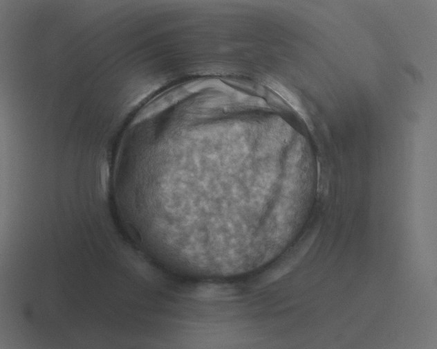 X0000116490109200912292113