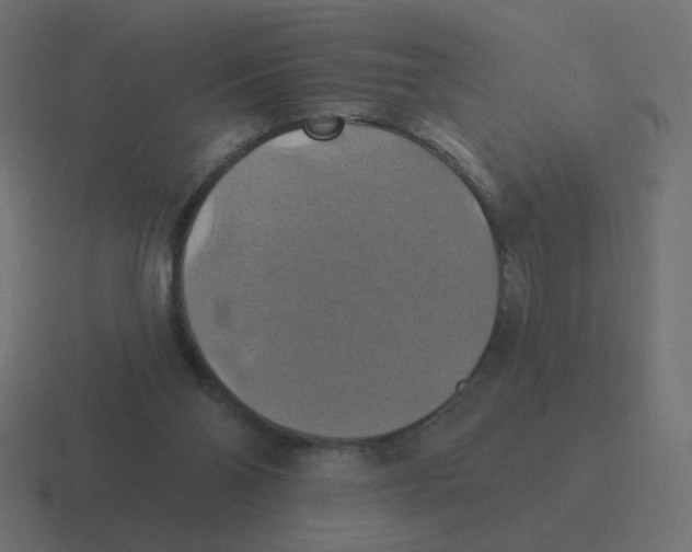 X0000116490110200912292113