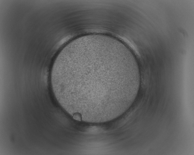 X0000116490111200912292113