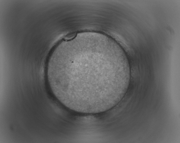 X0000116490112200912292113