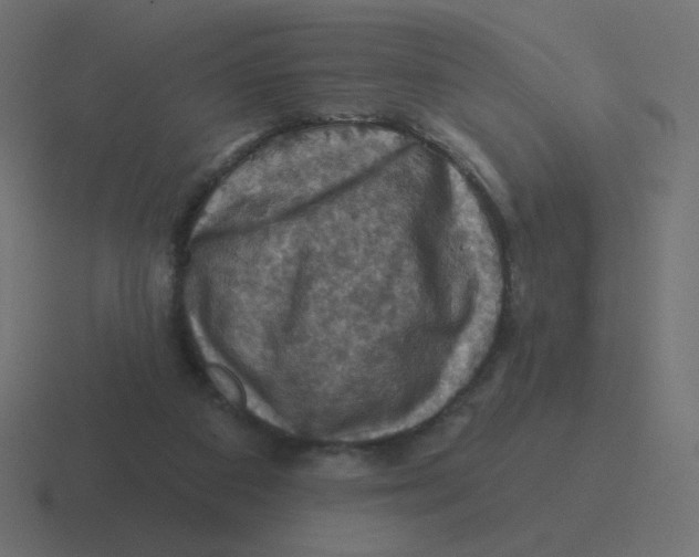 X0000116490113200912292113