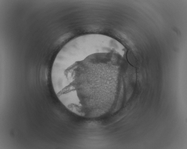 X0000116490115200912292113