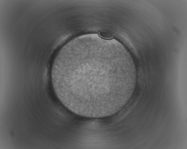 X0000116490116200912292113